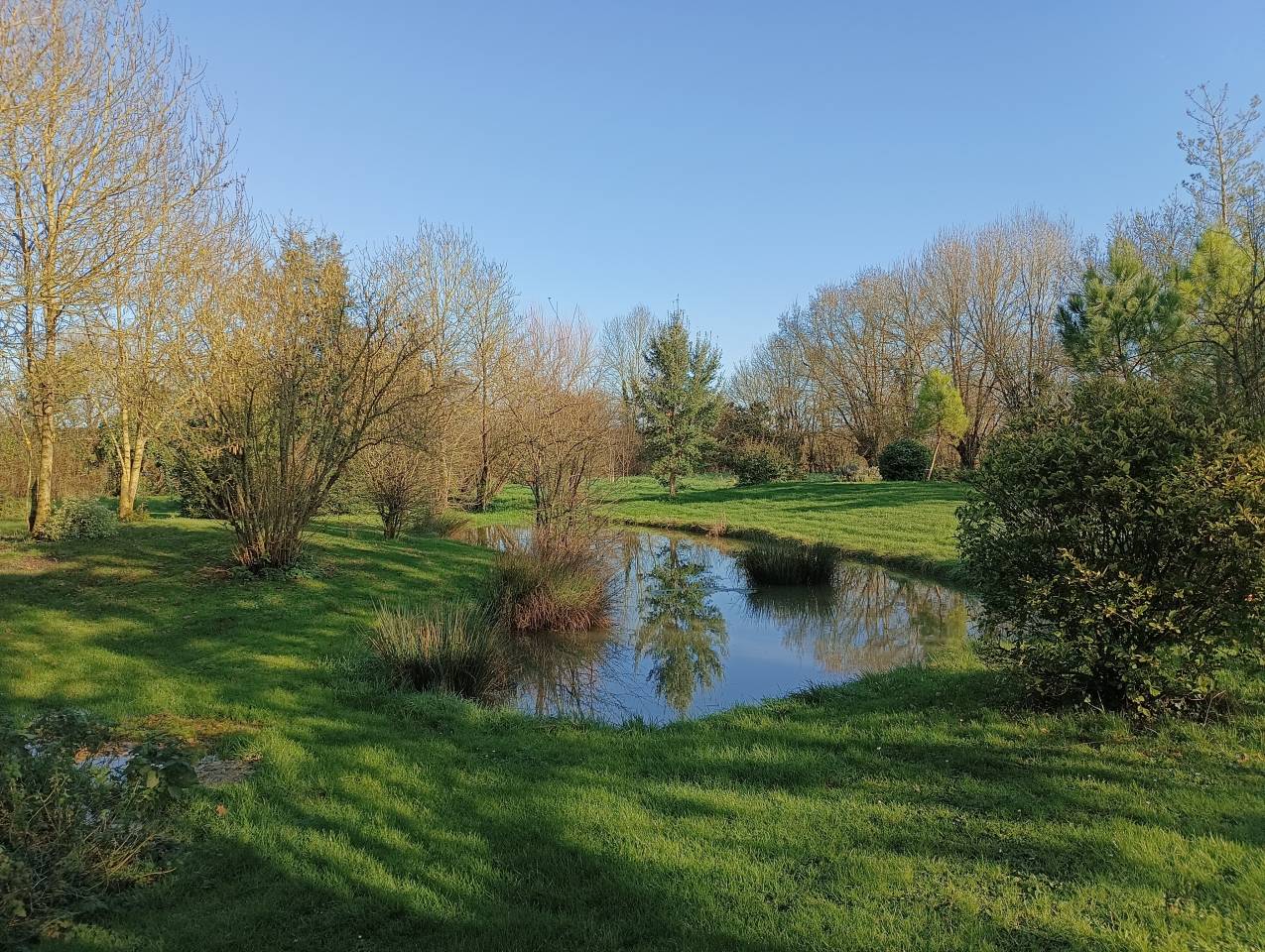 Bonita residencia ecuestre En venta Charente Marítimo