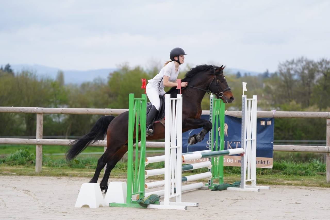 JUST BRIGHT DE RHONON - Connemara 2019 por CRACKER BOY MELODY