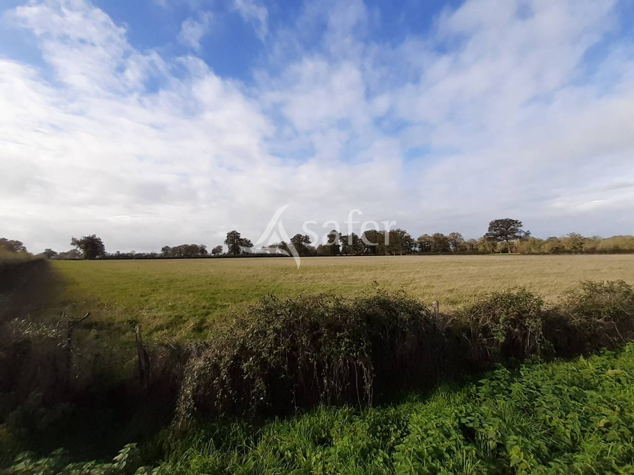 Explotación ovina En venta Vienne