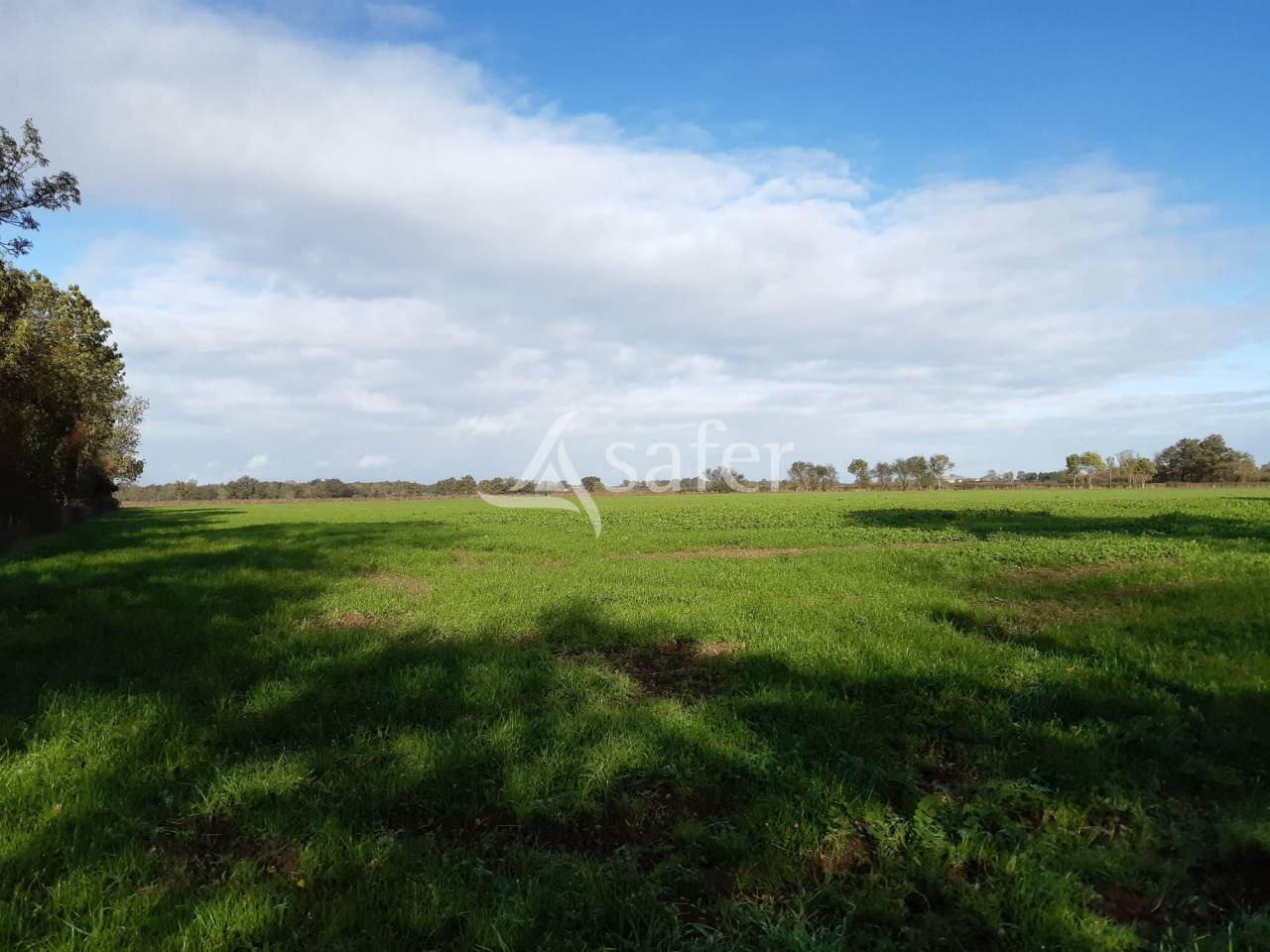 Explotación ovina En venta Vienne