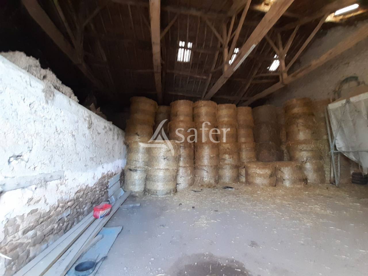 Explotación ovina En venta Vienne