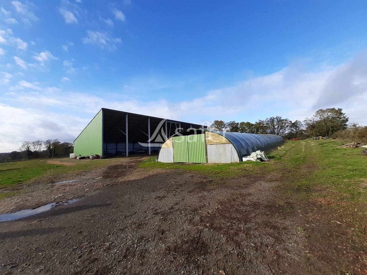 Explotación ovina En venta Vienne