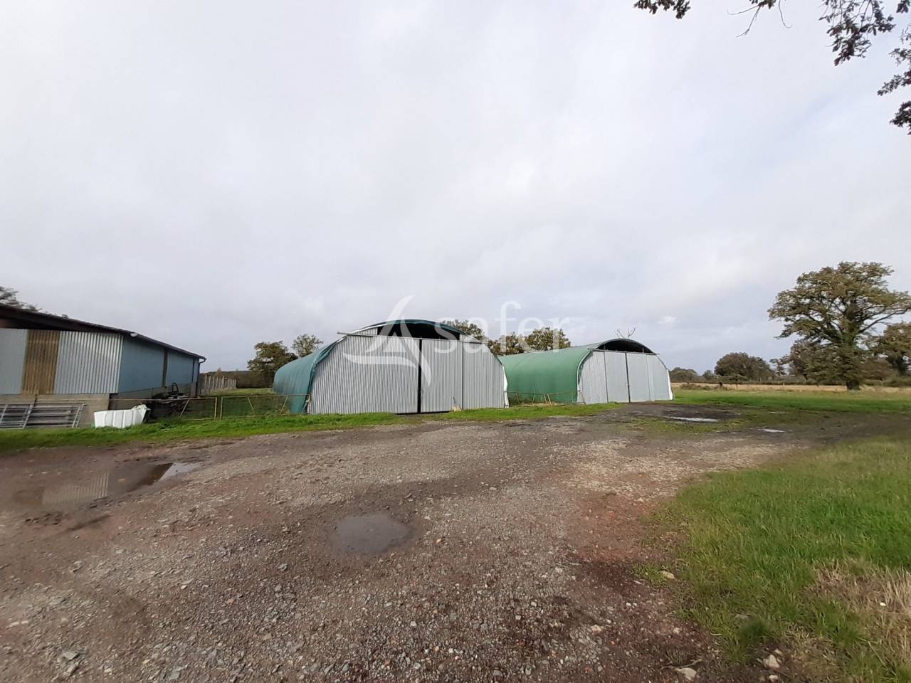 Explotación ovina En venta Vienne