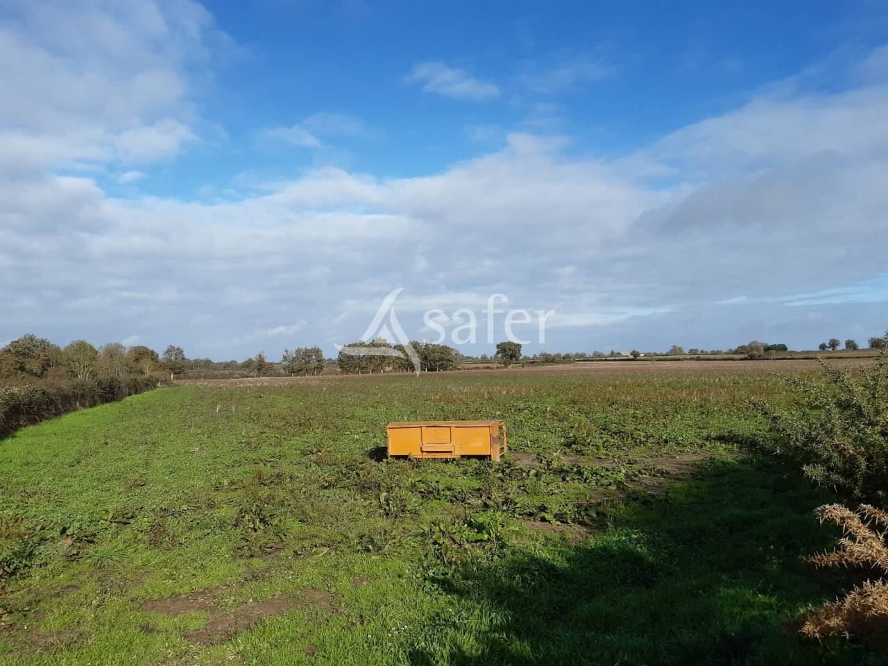 Explotación ovina En venta Vienne