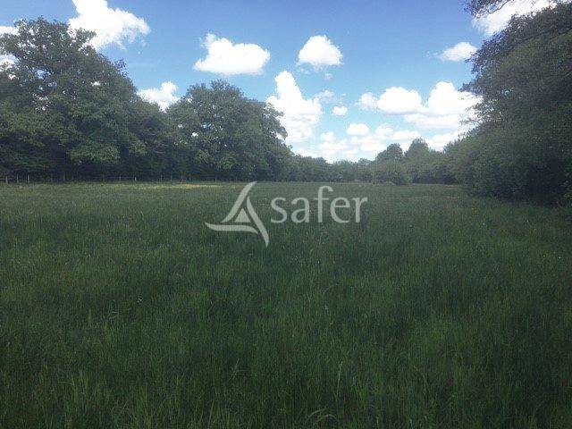 Propiedad rural En venta Creuse