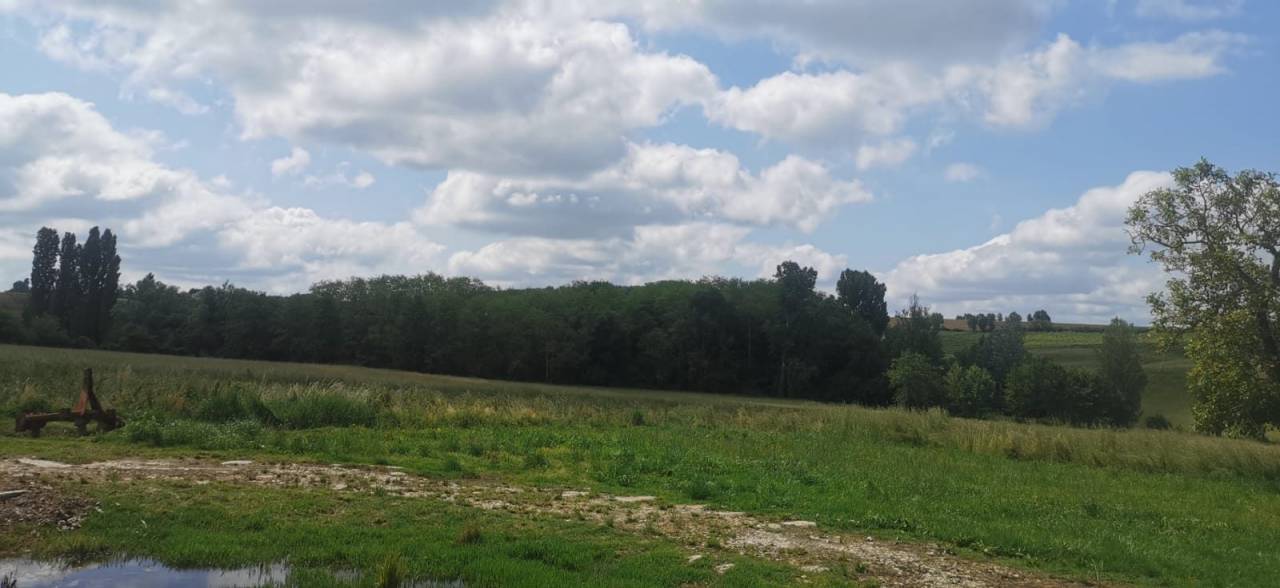 Propiedad ecuestre En venta Gironda