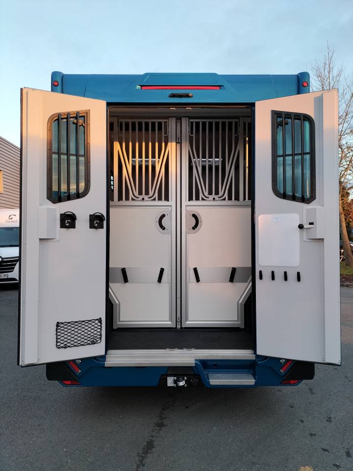 Furgoneta para caballos Theault Proteo  2023 Nuevo