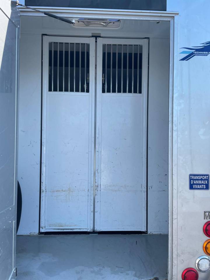 Furgoneta para caballos MTM  2018 De segunda mano