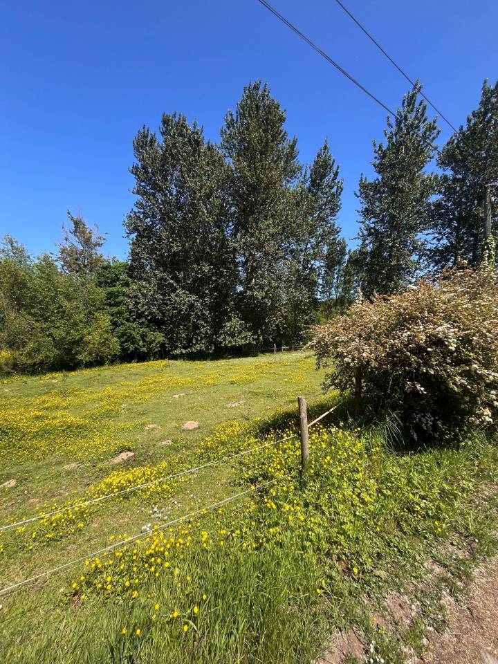 Propiedad ecuestre En venta Ile y Vilaine