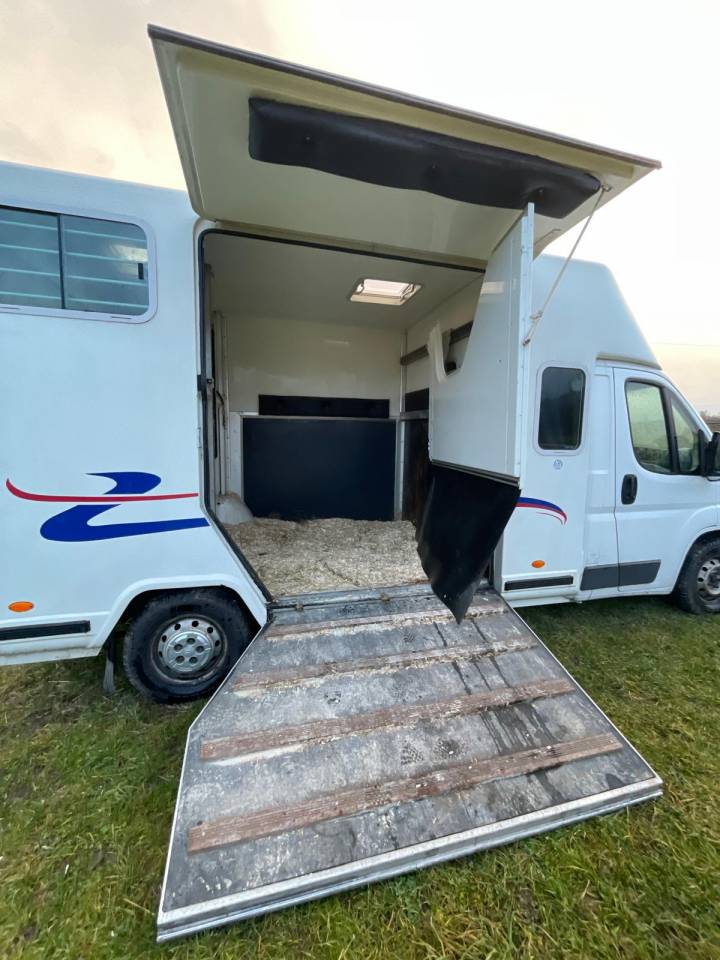 Furgoneta para caballos Barbot  2011 De segunda mano