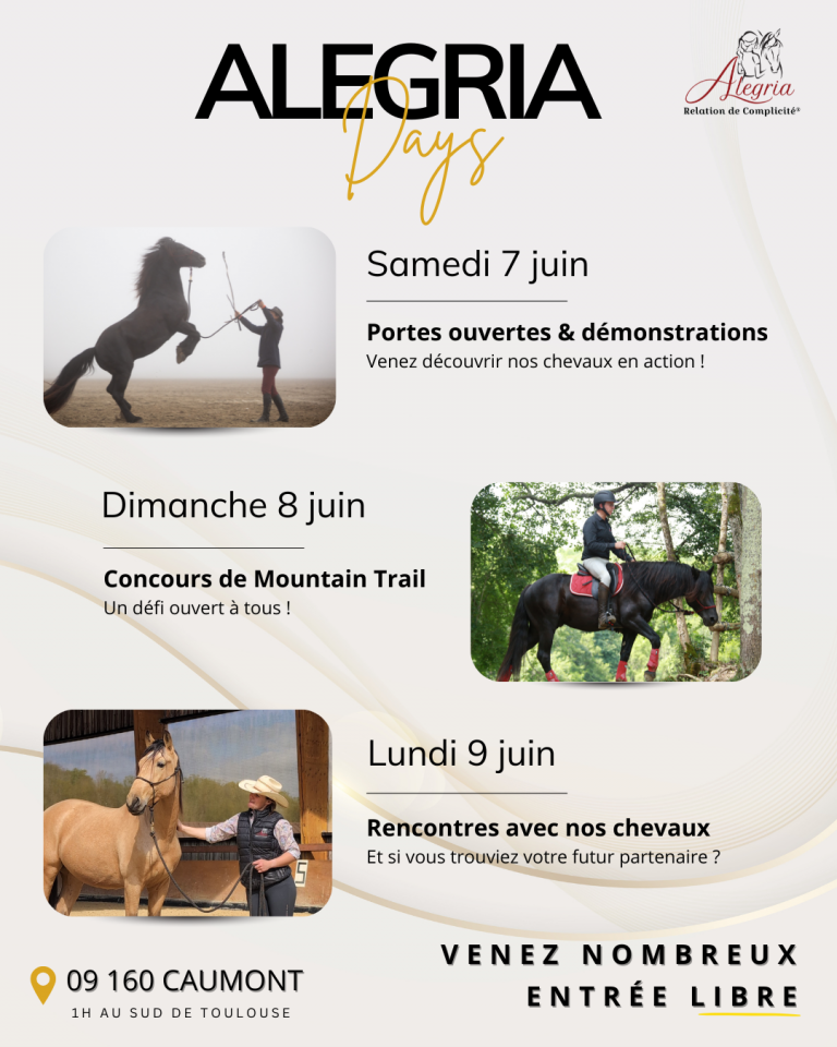 Yegua Mérens En venta 2024 Negro