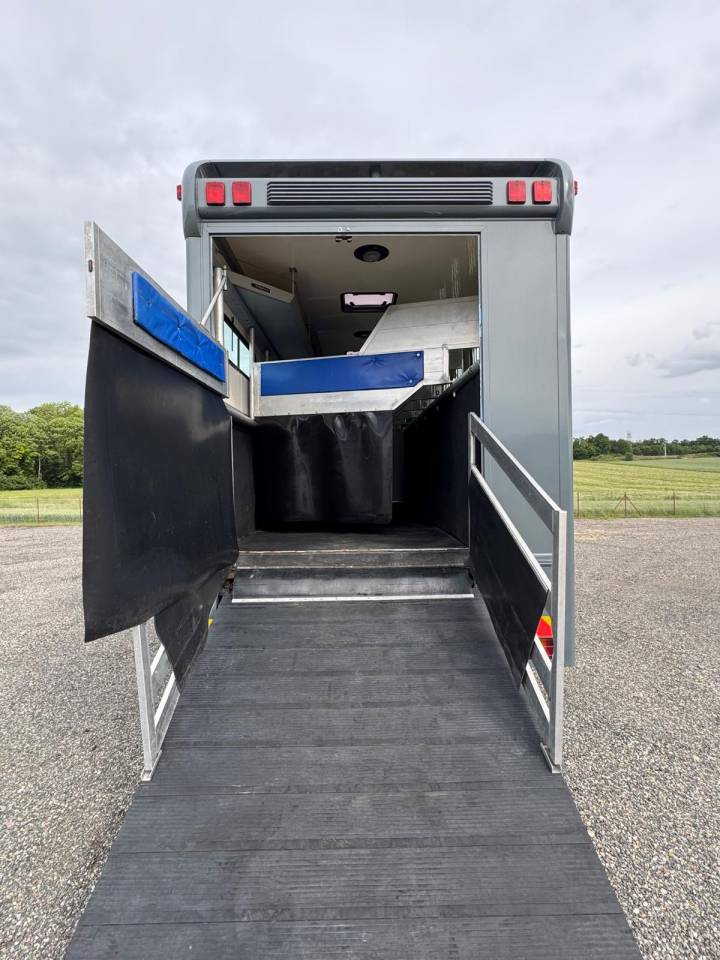 Camión para caballos Mercedes MERCEDES 2000 De segunda mano