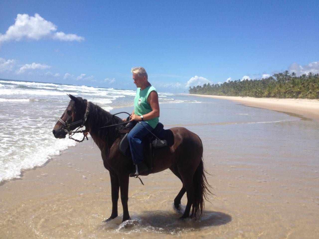 Granja ecuestre En venta 