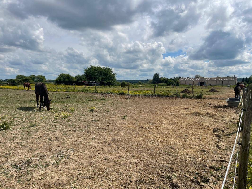 Acaballadero En venta Essonne