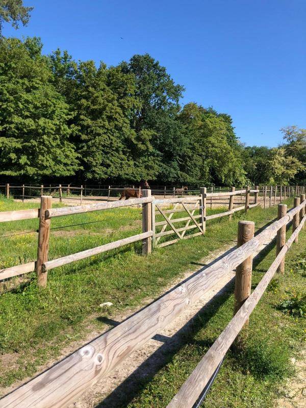 Acaballadero En venta Sena y Marne