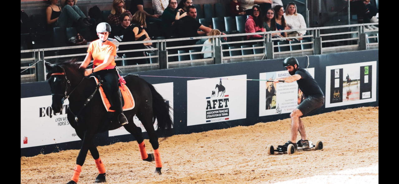 Caballo castrado PRE Pura Raza Española En venta 2014 Negro por FRESCACHON II