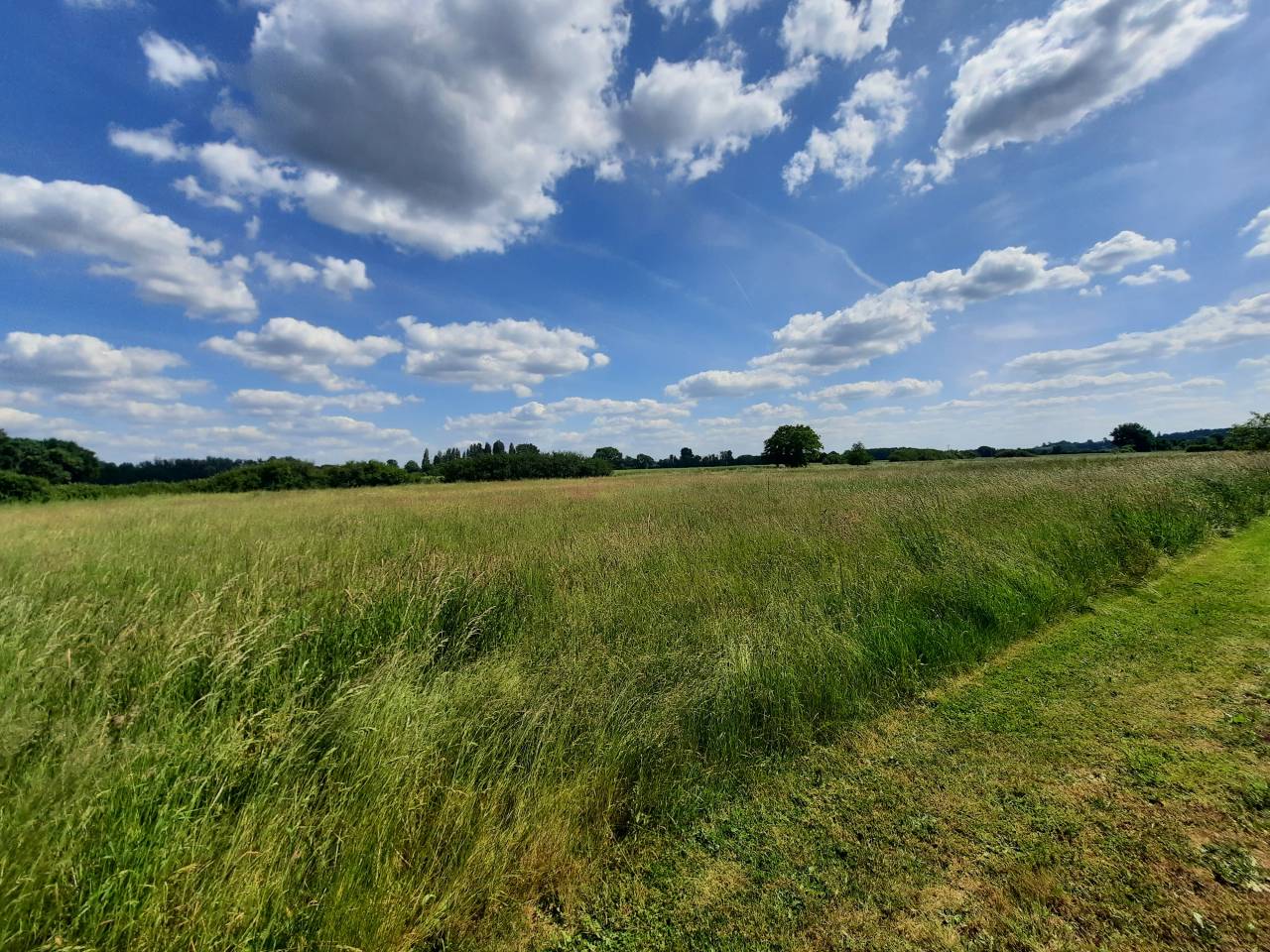 Propiedad ecuestre En venta Cher