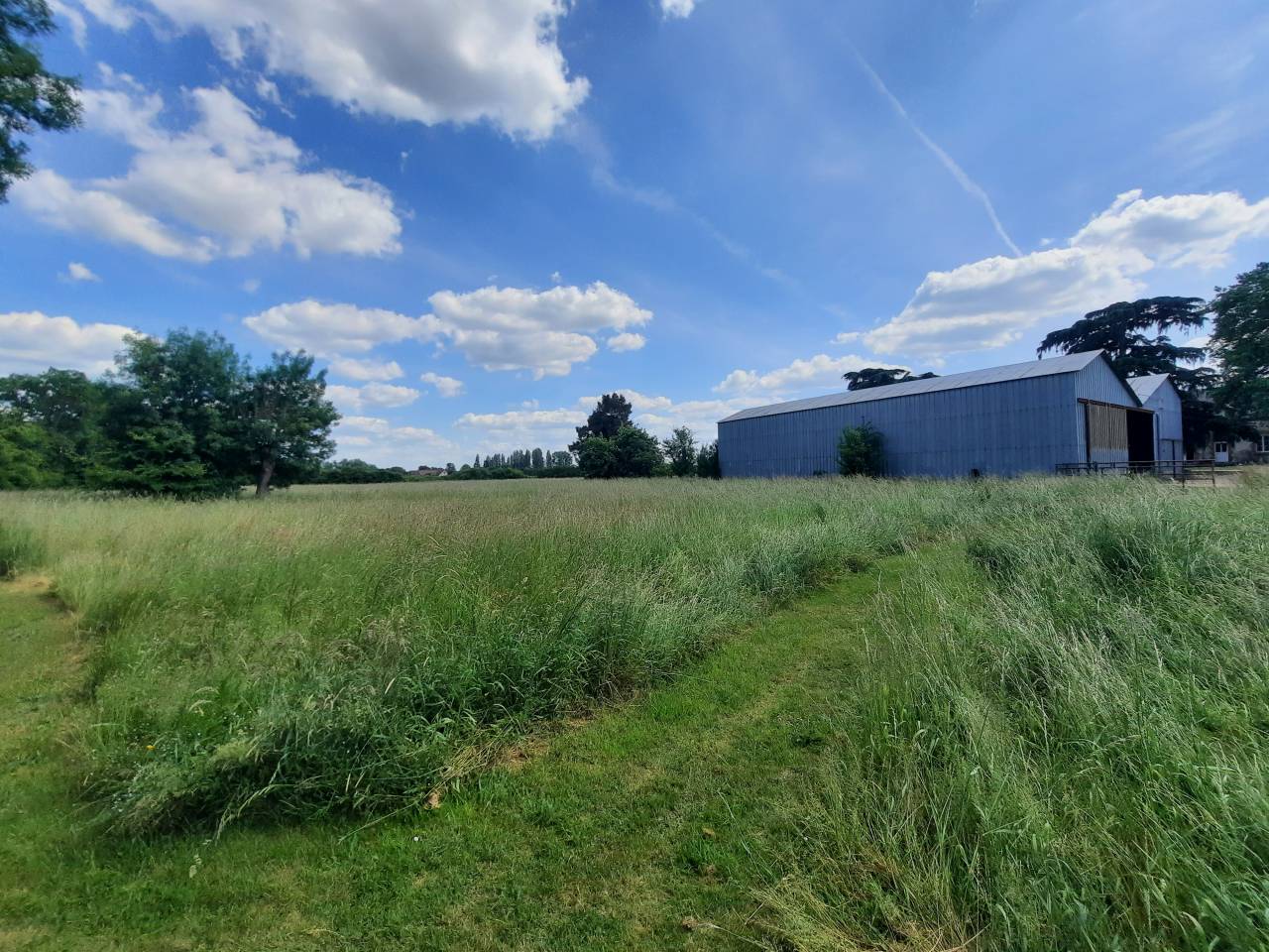 Propiedad ecuestre En venta Cher