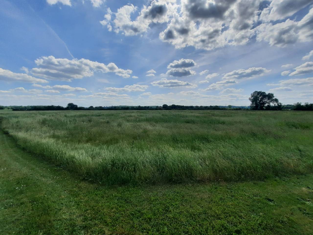 Propiedad ecuestre En venta Cher