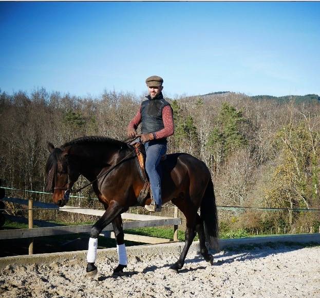 Caballo castrado Lusitano En venta 2015 Bayo por SOLERA