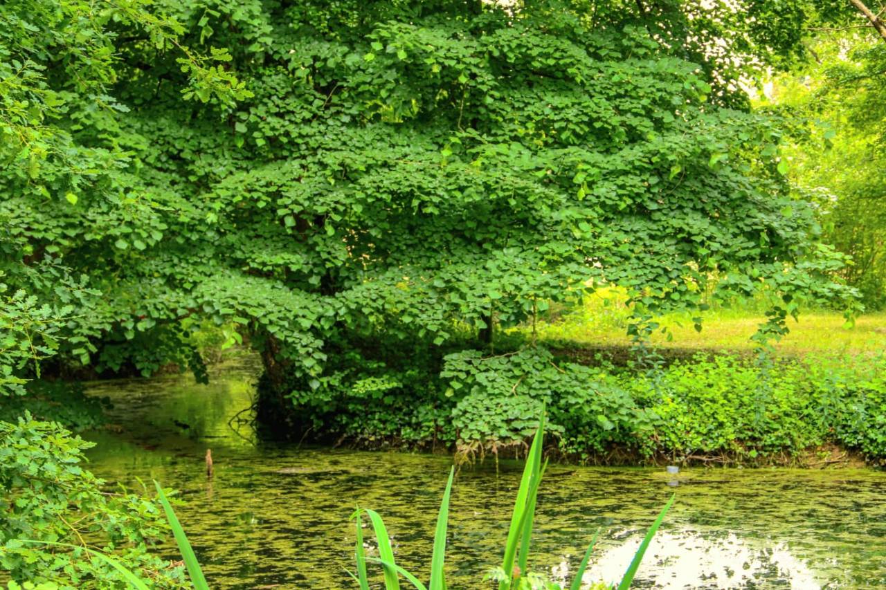 Propiedad ecuestre En venta Cher