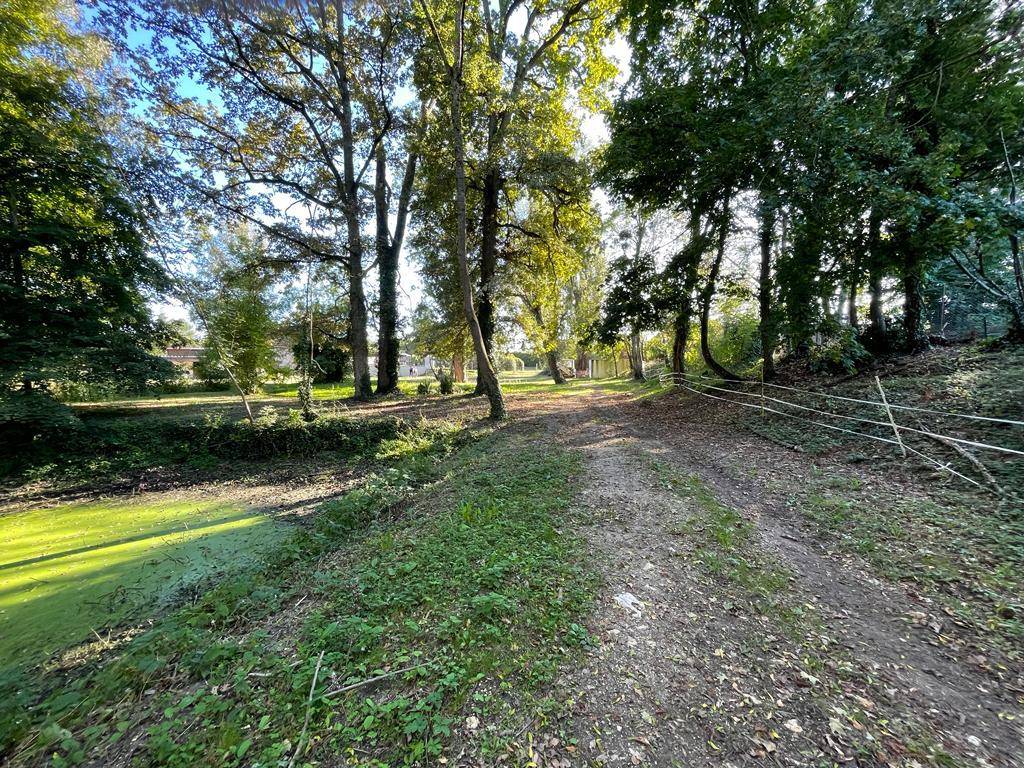 Propiedad ecuestre En venta Cher