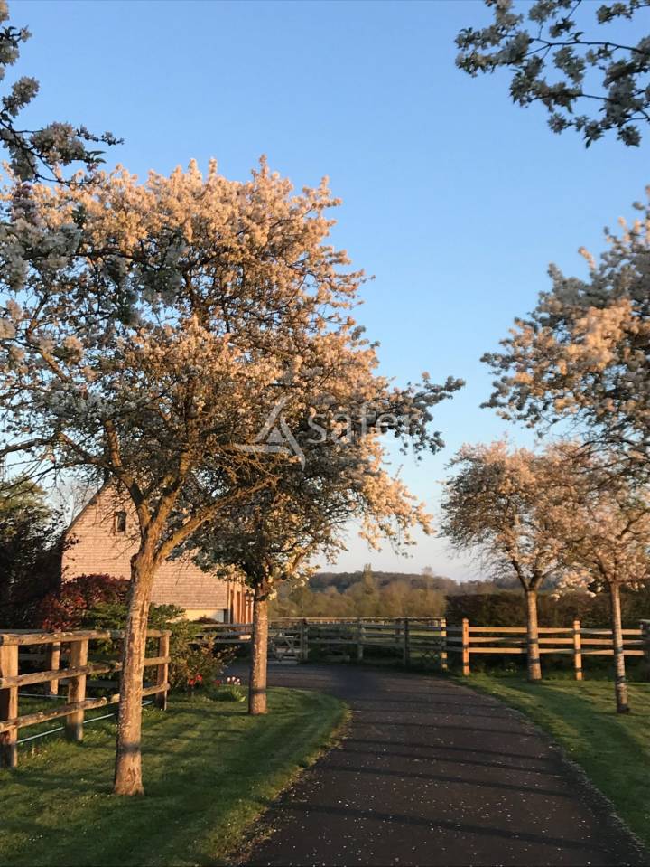 Propiedad ecuestre En venta Calvados