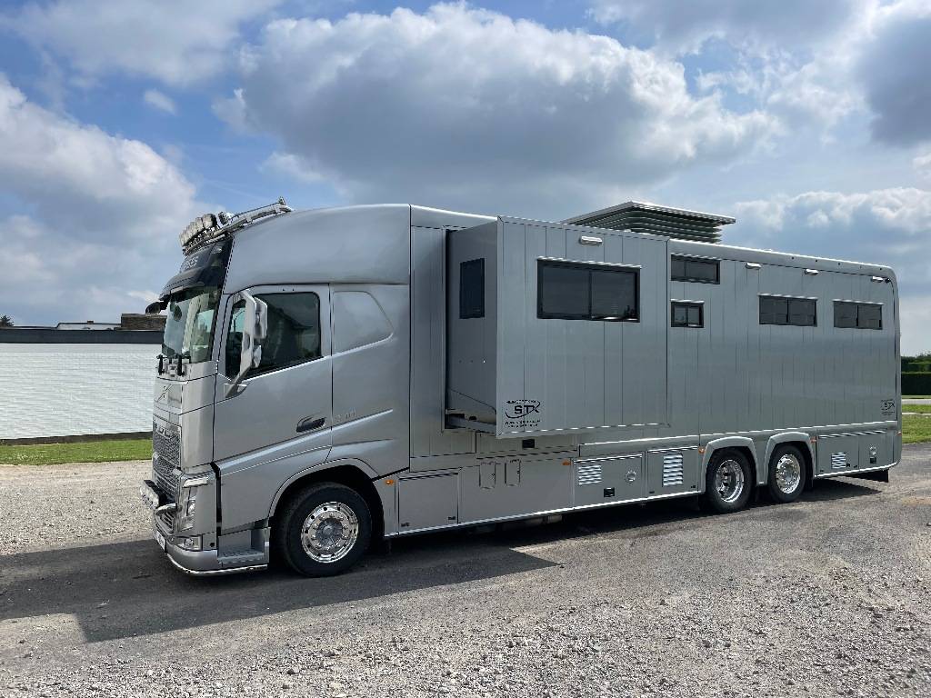 Camión para caballos STX FH540 2019 De segunda mano