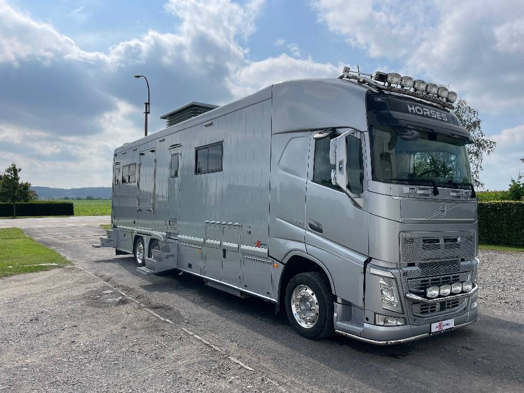 Camión para caballos STX FH540 2019 De segunda mano