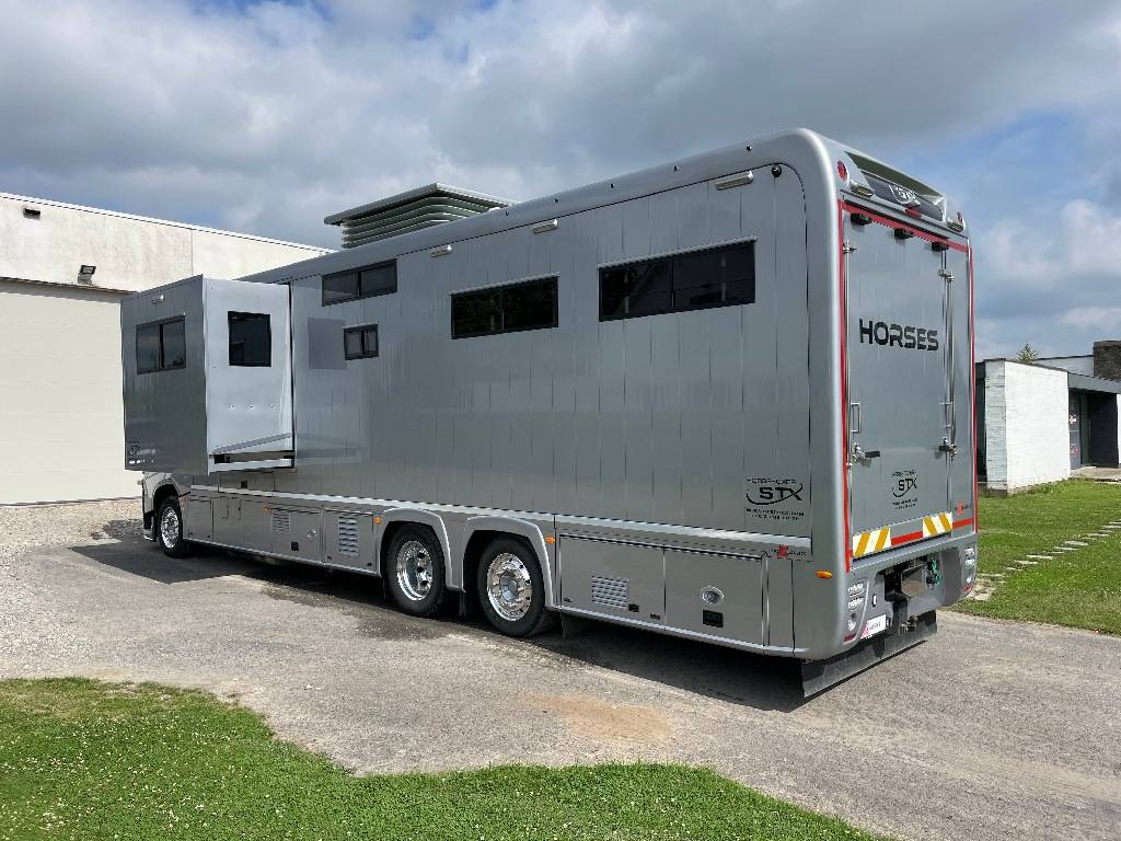 Camión para caballos STX FH540 2019 De segunda mano