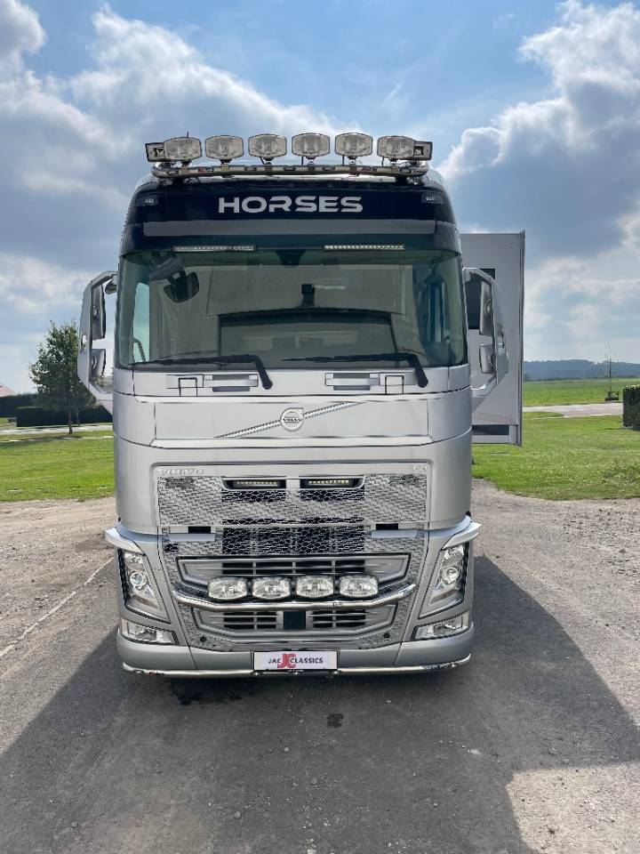 Camión para caballos STX FH540 2019 De segunda mano