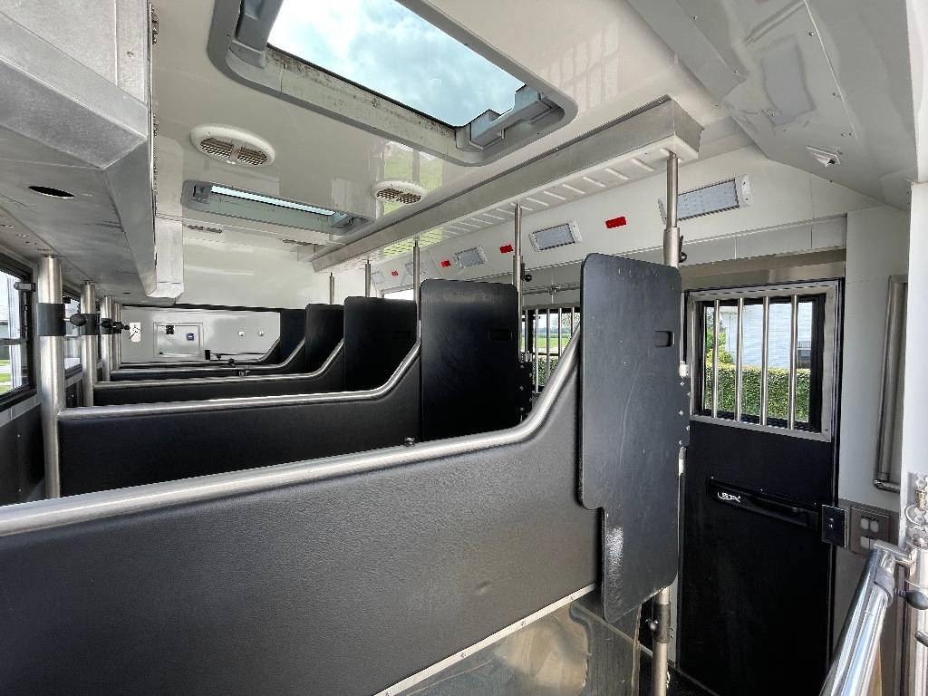 Camión para caballos STX FH540 2019 De segunda mano