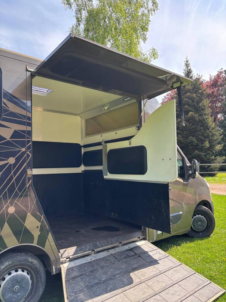 Furgoneta para caballos Cavalcar OPEL 2018 De segunda mano