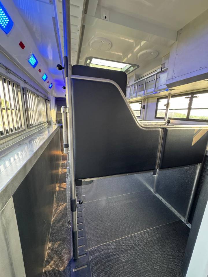 Camión para caballos STX SCANIA 2020 De segunda mano