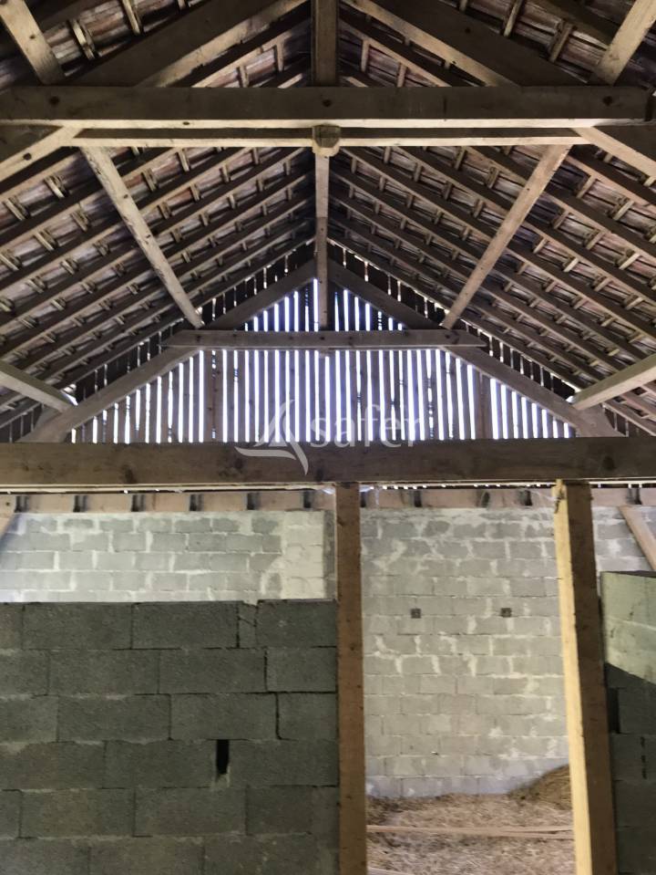 Propiedad ecuestre En venta Saboya