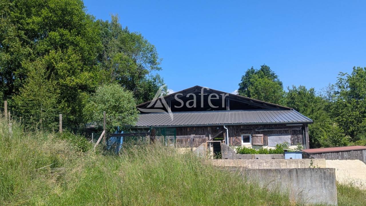 Propiedad ecuestre En venta Saboya