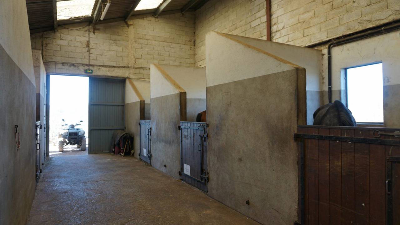 Albergue ecuestre En venta Ni&egrave;vre
