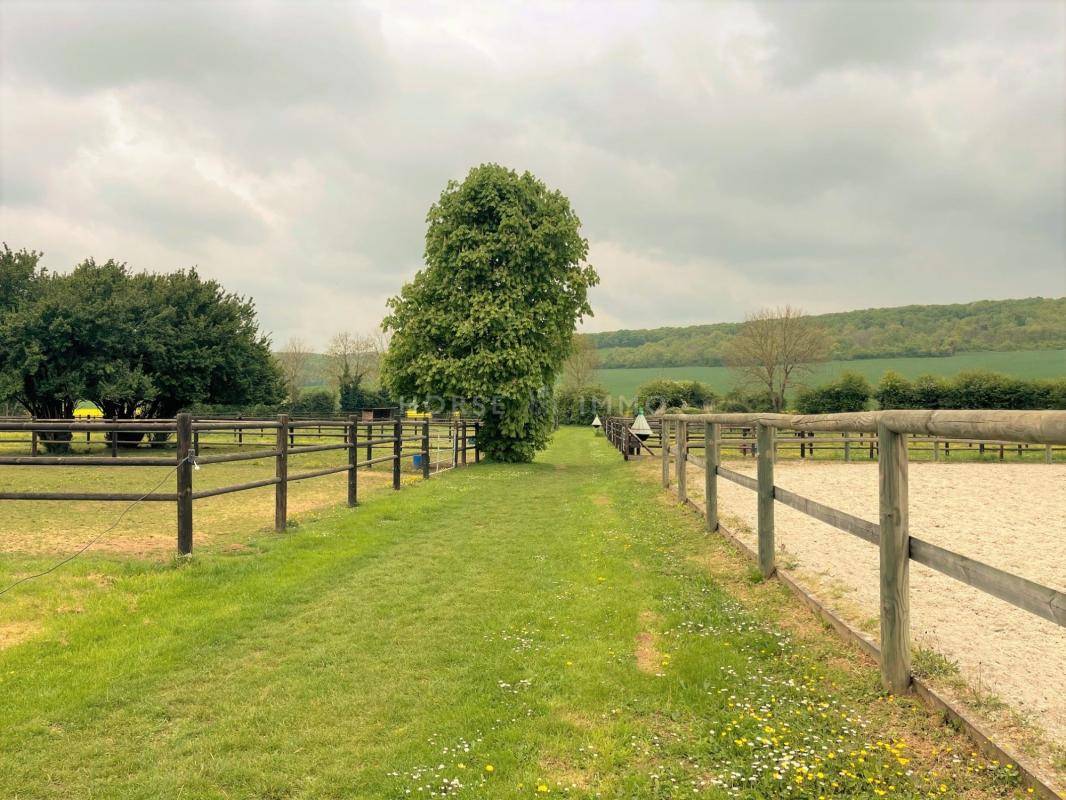 Acaballadero En venta Yonne