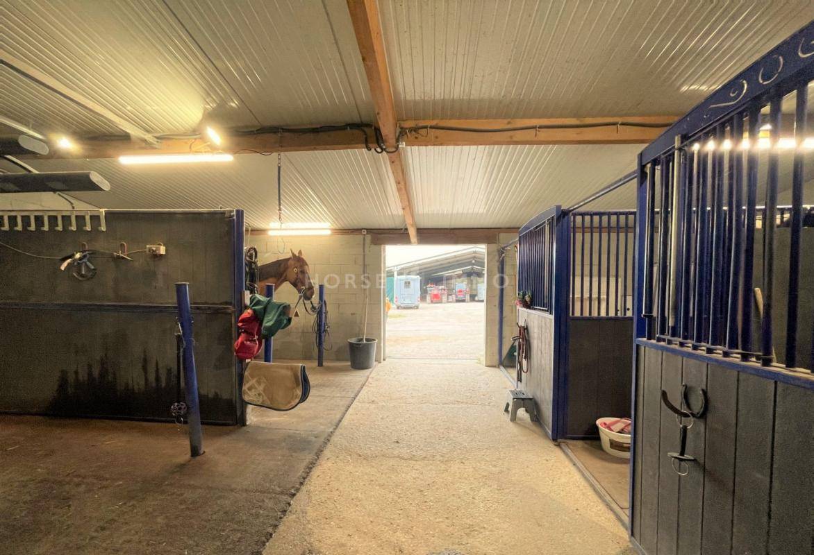 Acaballadero En venta Yonne