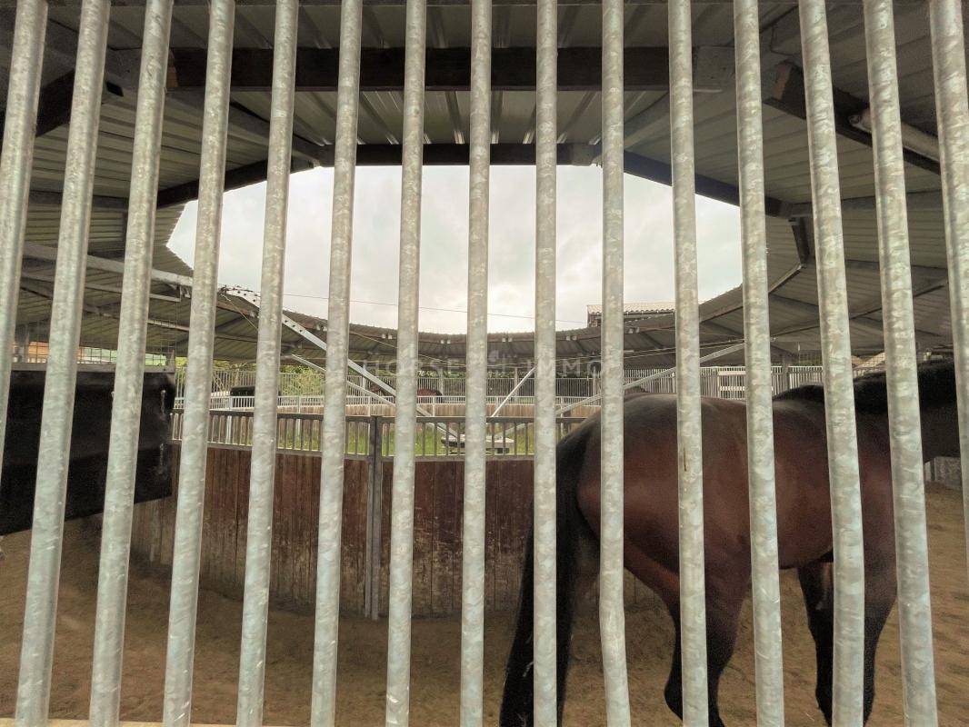 Acaballadero En venta Yonne