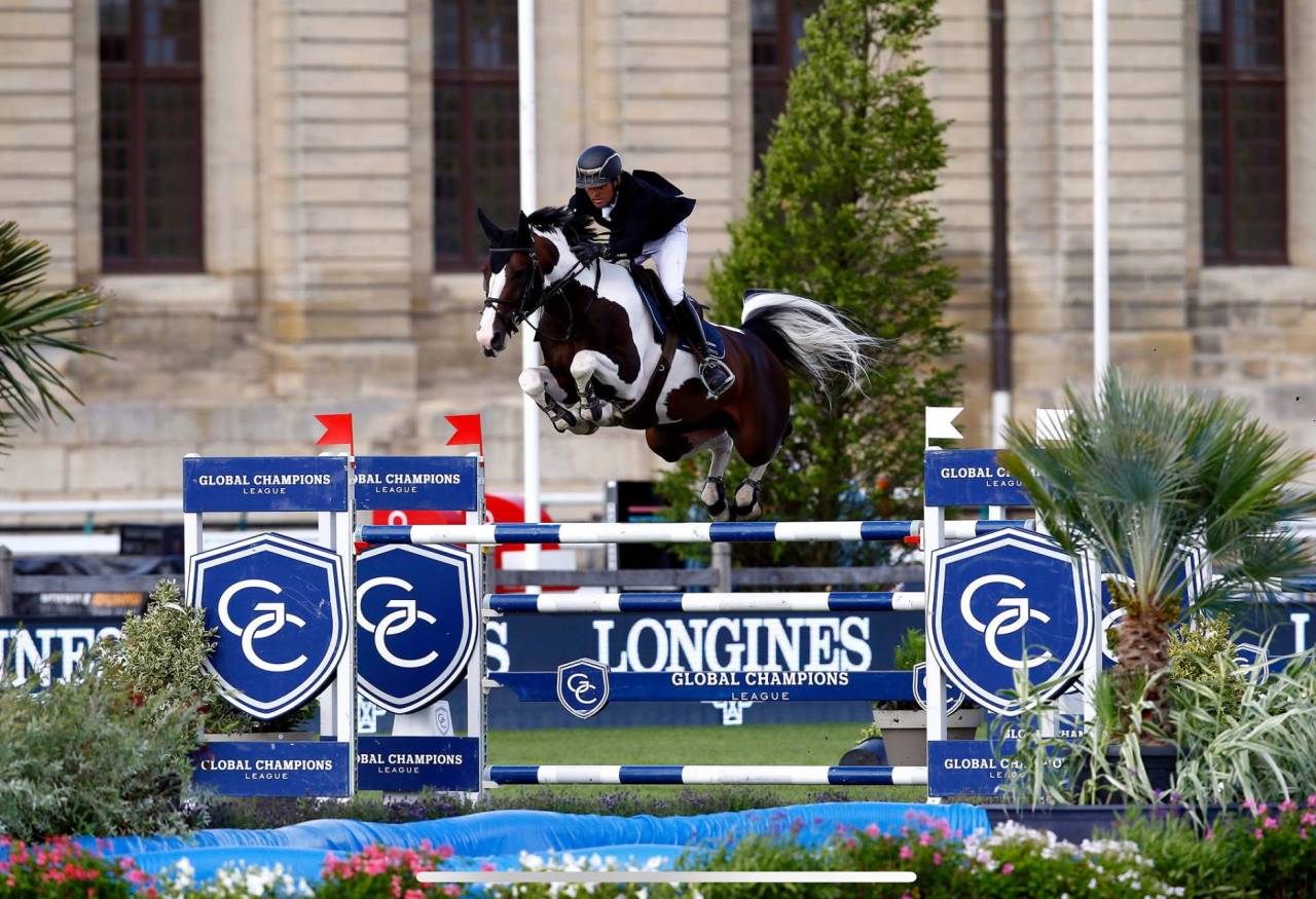Potranca Silla Francés En venta 2025 Bayo por Conte Bellini