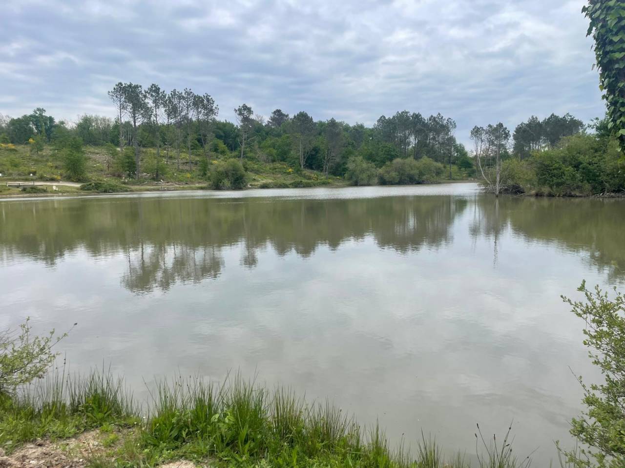 Propiedad de turismo ecuestre En venta Dordoña