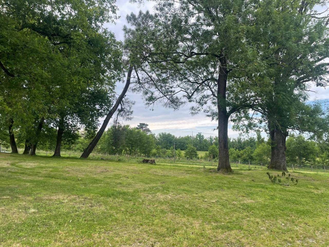 Propiedad de turismo ecuestre En venta Dordoña