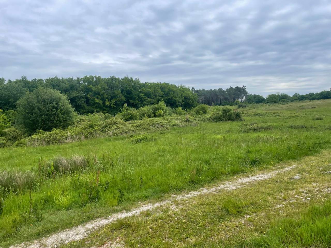 Propiedad de turismo ecuestre En venta Dordoña