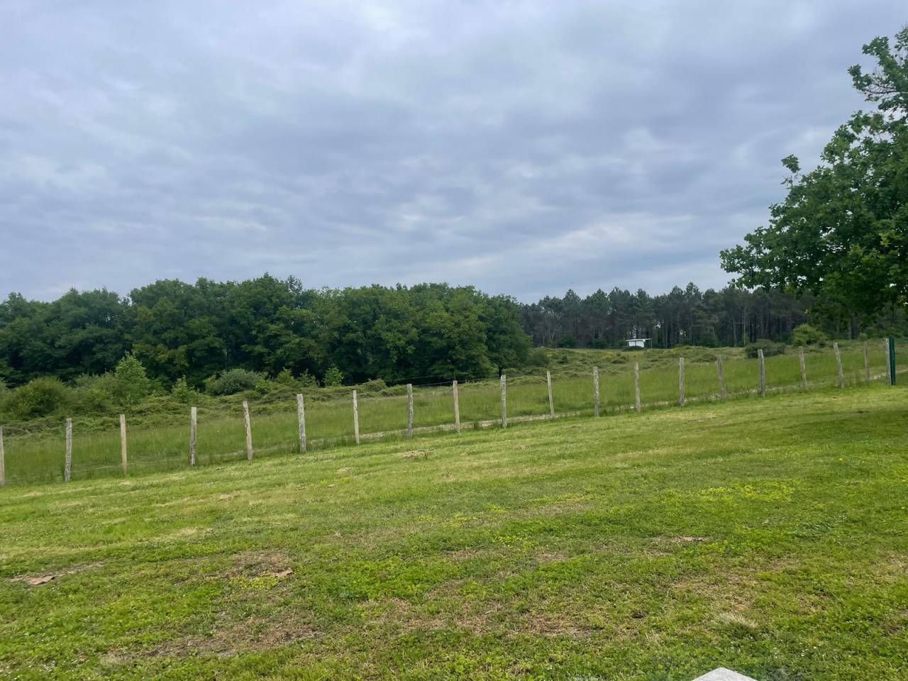 Propiedad de turismo ecuestre En venta Dordoña