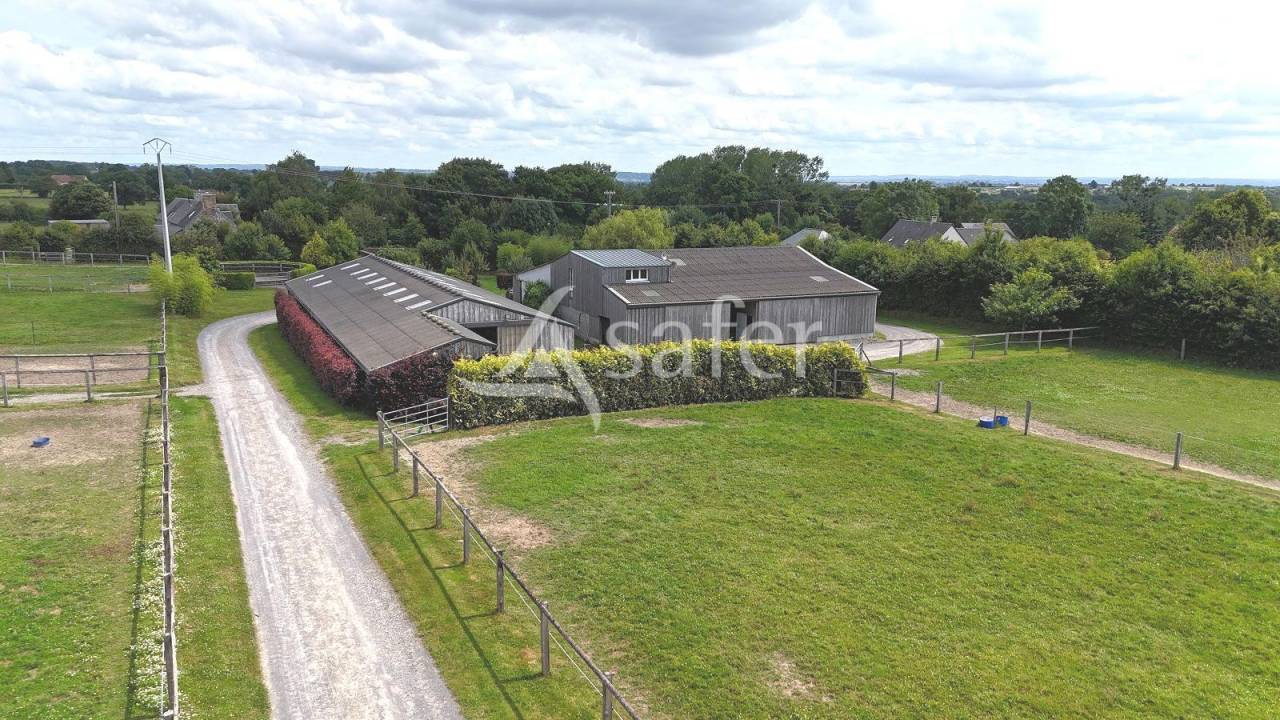 Propiedad ecuestre En venta Mancha