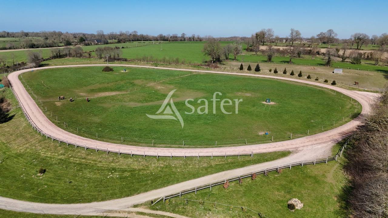 Propiedad ecuestre En venta Mancha