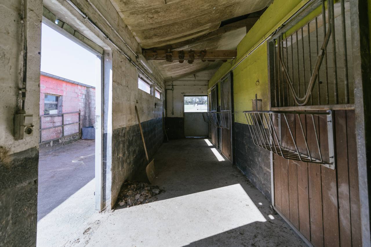 Propiedad ecuestre En venta Luxemburgo be