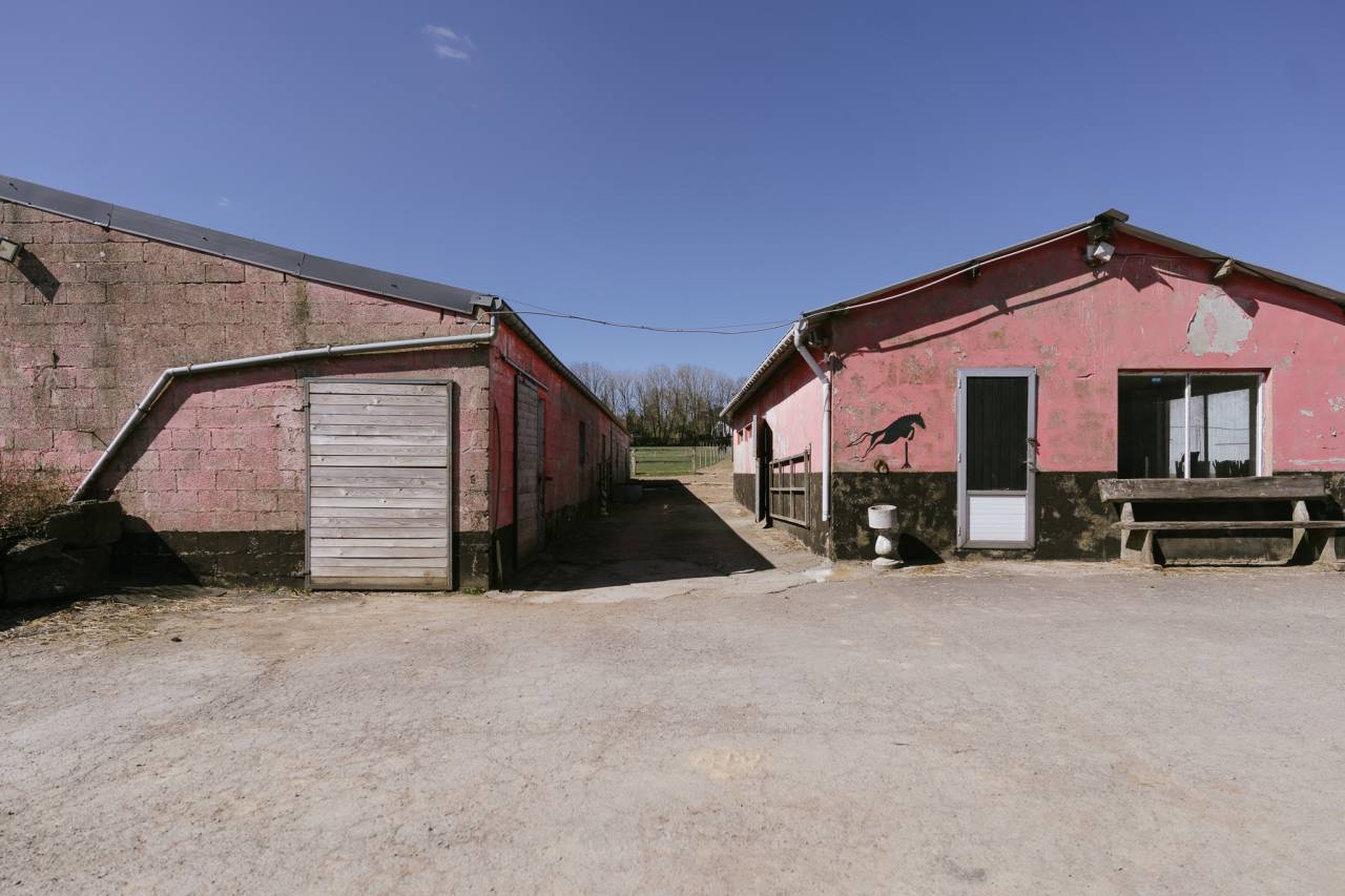 Propiedad ecuestre En venta Luxemburgo be