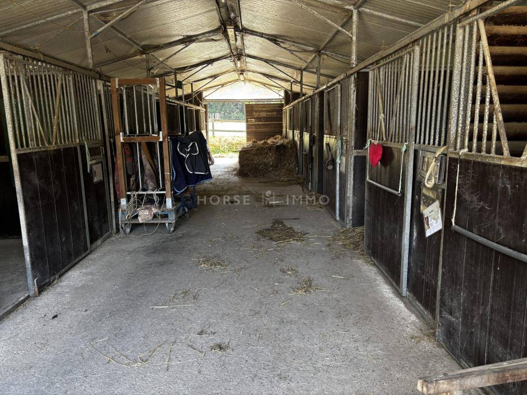 Propiedad ecuestre En venta Morbihan